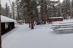 PXL_20210417_012449923