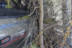 PXL_20210430_193552949