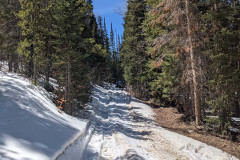 PXL_20210430_193611758