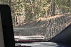 PXL_20210430_204022186