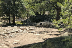 PXL_20210430_205109427