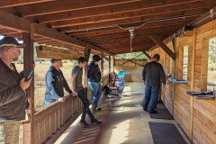 PXL_20211106_193159499-copy