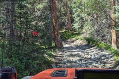 PXL_20210827_164033427-copy