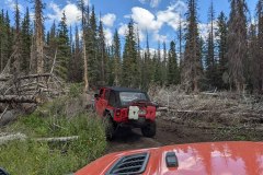 PXL_20210827_182312814-copy