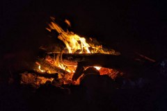 PXL_20210828_022751766-copy