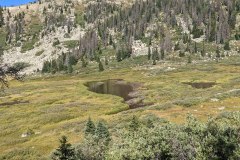 PXL_20210828_163615023-copy