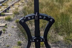 PXL_20210828_174248361-copy