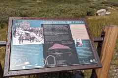 PXL_20210828_174835640-copy