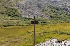 PXL_20210828_175622685-copy