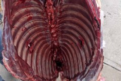 PXL_20211007_004237369-copy