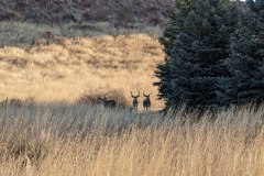 PXL_20211030_150559109-copy