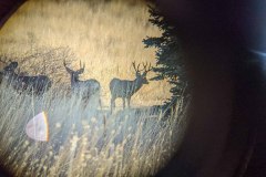 PXL_20211030_150745621-copy