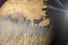 PXL_20211030_150749472-copy