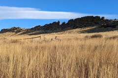 PXL_20211030_151010975-copy