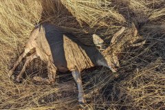 PXL_20211030_151849676-copy