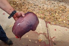 PXL_20211030_175732357-copy