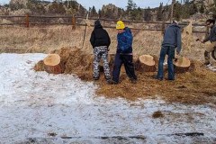 PXL_20220212_205407799-copy