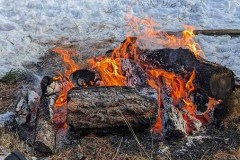 PXL_20220212_230900892-copy