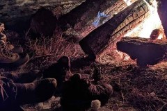 PXL_20220213_021205376.NIGHT-copy