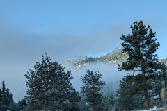 PXL_20210424_132825091