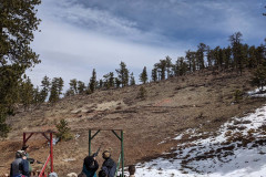 PXL_20210424_172545503