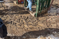 PXL_20210424_230405766