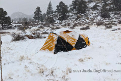 PXL_20210109_225903570-copy