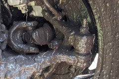 IMG_20210619_172056_375-copy