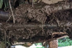 IMG_20210619_172056_396-copy