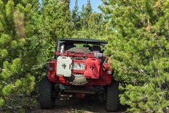 PXL_20210619_153147786-copy