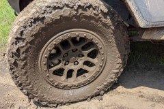 PXL_20210619_163510600-copy