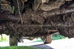 PXL_20210619_163525035-copy