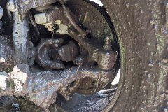 PXL_20210619_163537743-copy