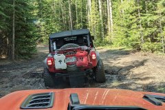 PXL_20210619_163907537-copy