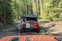 PXL_20210619_163910901-copy