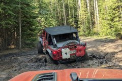 PXL_20210619_163932198-copy