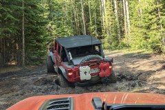 PXL_20210619_163934015-copy