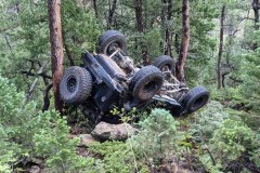 PXL_20210626_152807830-copy