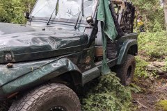 PXL_20210626_164823458-copy