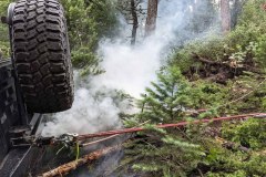 PXL_20210626_171434514-copy