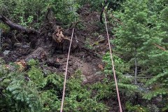 PXL_20210626_172801879-copy