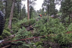 PXL_20210626_174303836-copy