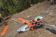 PXL_20210626_192450703-copy