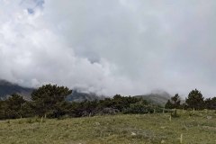 PXL_20210731_161657172-copy