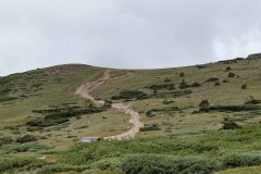 PXL_20210731_164044818-copy