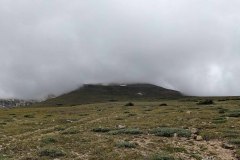 PXL_20210731_164441798-copy