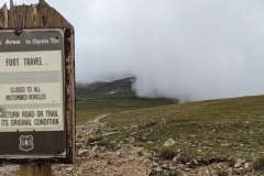 PXL_20210731_165724086-copy