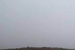 PXL_20210731_171553992-copy