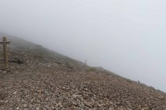 PXL_20210731_171557704-copy