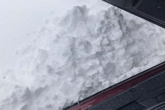 IMG_20210315_061922_278